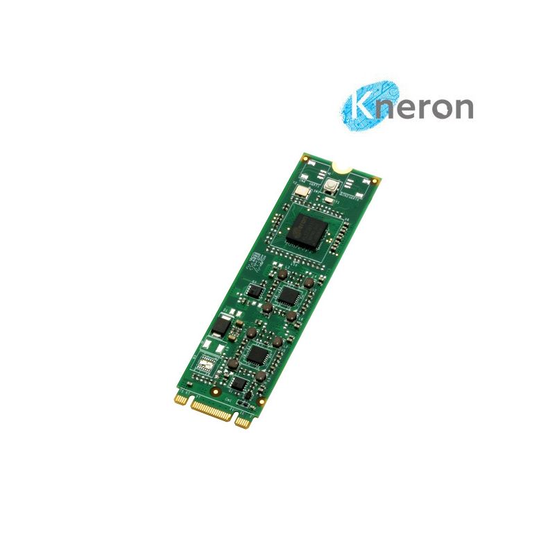 AAEON M2AI-2242-520 | AI Edge Computing Module with Kneron KL520 